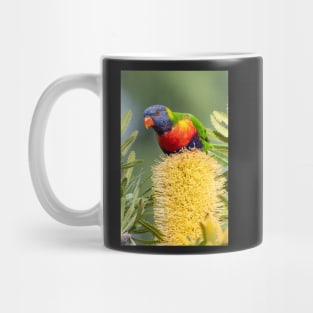 Rainbow Lorikeet on Banksia Mug